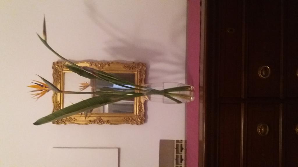 Il Marchese Del Grillo Casa de hóspedes *